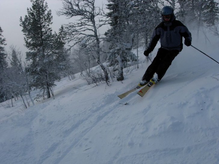 åker lite skogsåkning. Foto: Wiktor skoglund. Åkare: Samuel uhrdin.