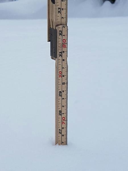 Something's cooking....
.