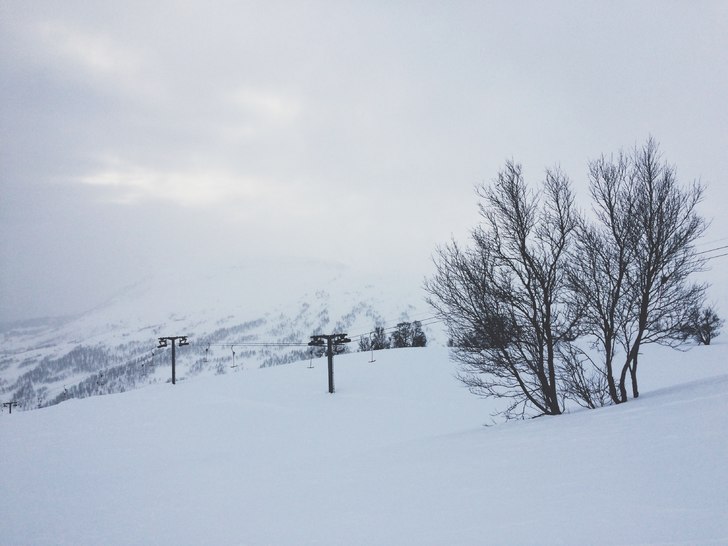 Det snør, det snør :D 
Den nydelige snøen forst.