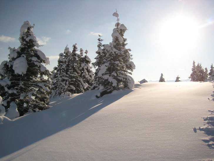 Foto: Kristopher Nygren.