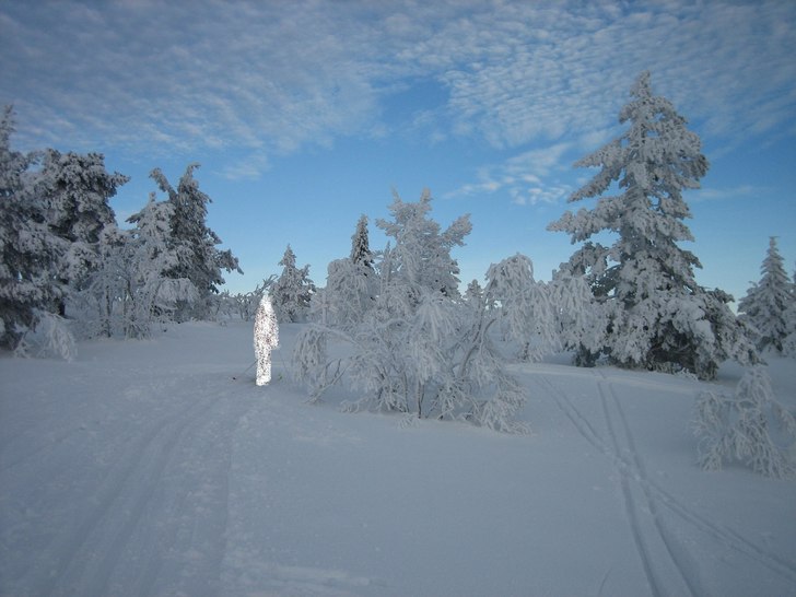 va inne å titta på lite gamla bilder och hitta d. Foto: jag. Åkare: rAnodm.
