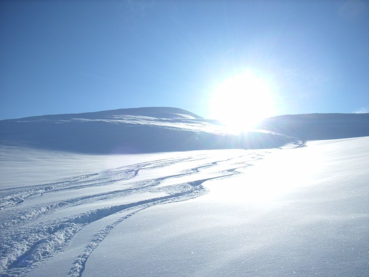 Heliskiing i Abiskoalperna. Foto: Mountain Man.