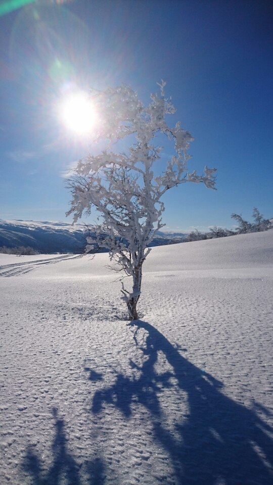 Dagens forhold 19.04.17
Nedfartene er også i dag .