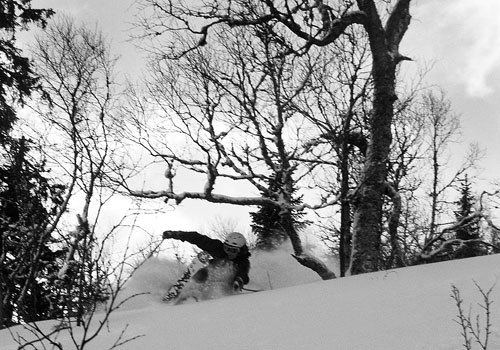 Foto: jesper wallin. Åkare: jakob wallin.