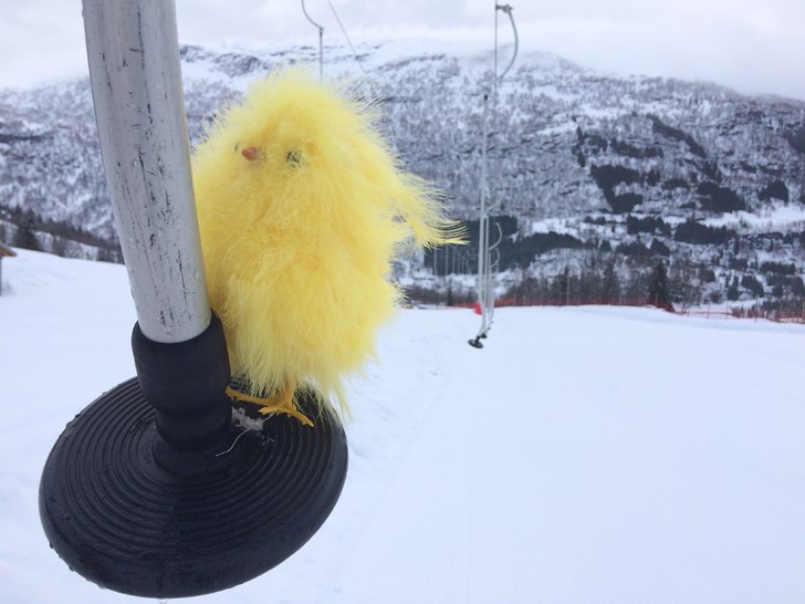 Åpent hver dag 
Vi har åpent hver dag fremover, .