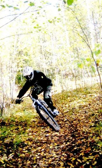 Höstlöv. Foto: Alexander Brännkärr. Åkare: Björn Yrjans.