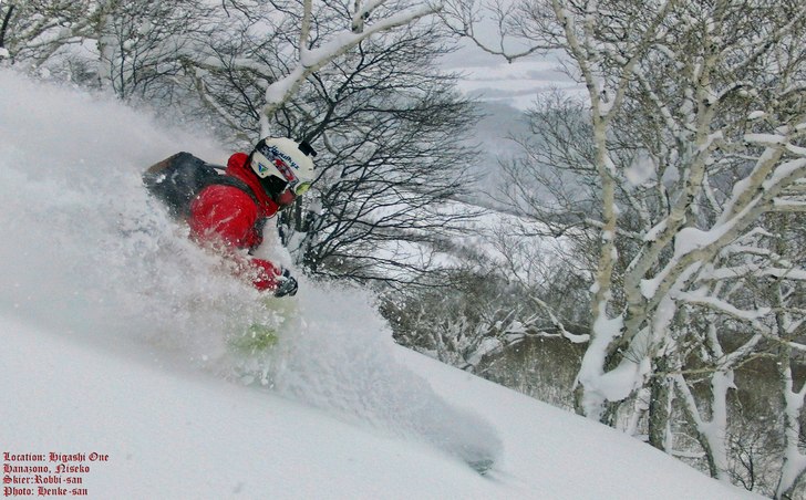 Higashi One in Great Pow!. Foto: Henke Liljeqvist. Åkare: R. Hortlund.