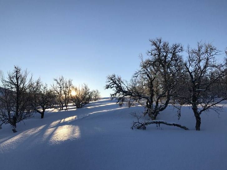 Velkommen til solfylt dag
Velkommen til en solfylt.