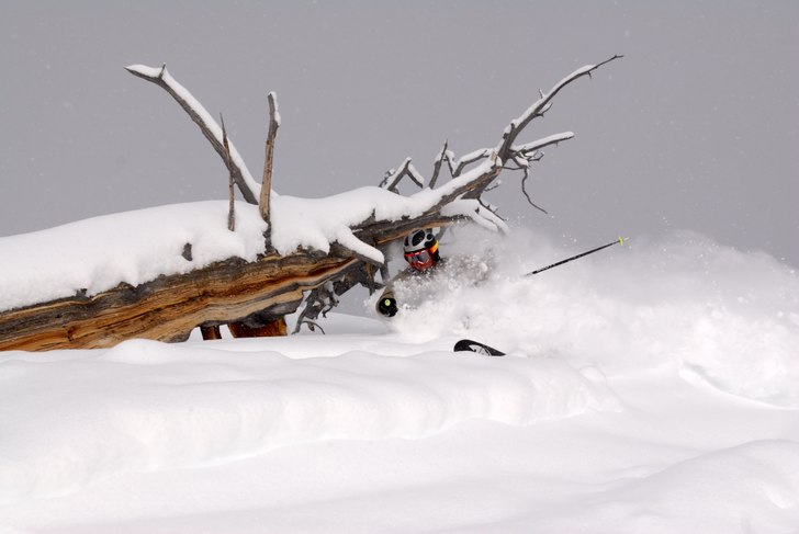 Foto: Pelle Gustavsson. Åkare: Hans Hörfelt.