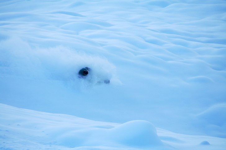Foto: Joakim Croy. Åkare: Rickard Croy.