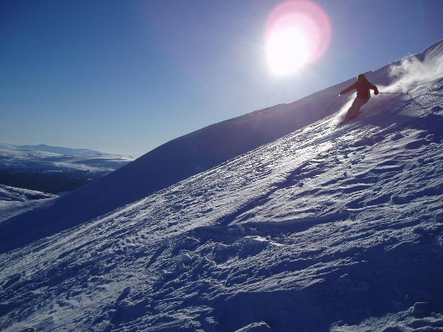 Foto: Erik Larsson. Åkare: Lise Andersen.