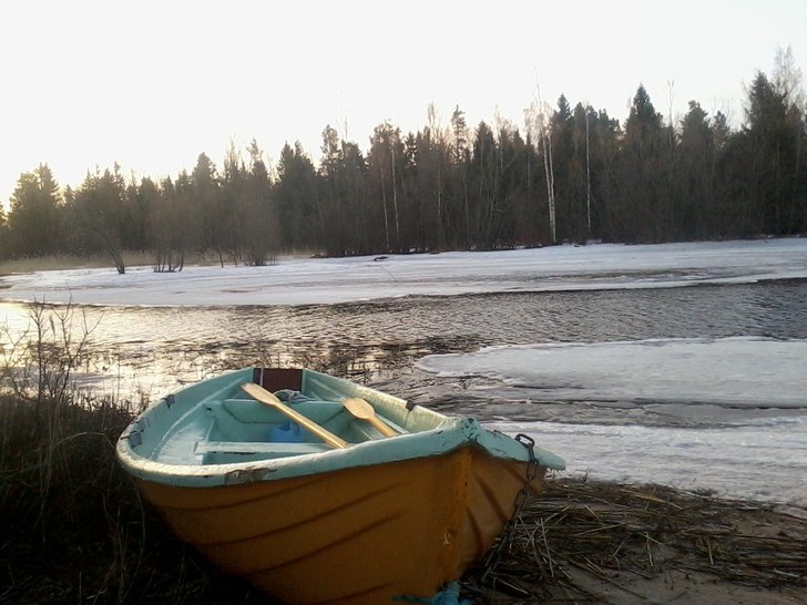 Foto: ian Archibald.