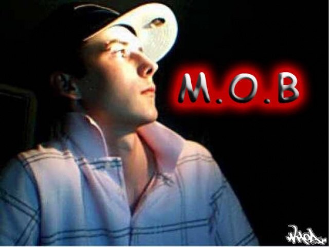 kabbelito. Foto: kabbelito. Åkare: kabbelito.