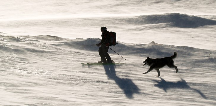 Foto: Tomas Almbo. Åkare: Katta Reiz & Manu.