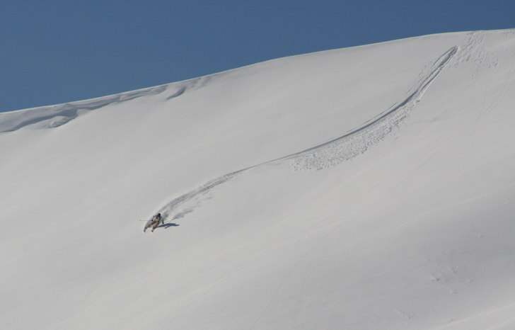 Foto: Frida. Åkare: Patrik Dahlgren.