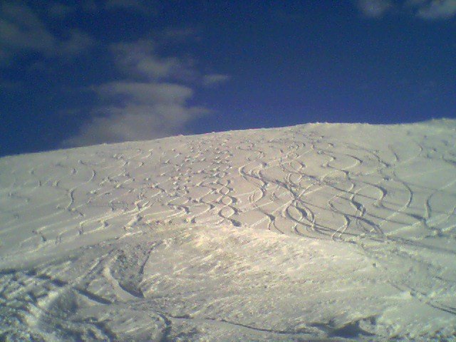 Figure 8. Foto: studspappa. Åkare: studspappa.