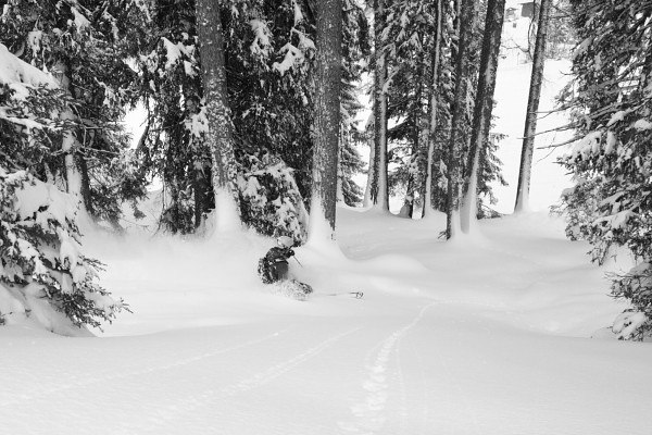 Foto: Christian Reitan. Åkare: Leo Alsved.