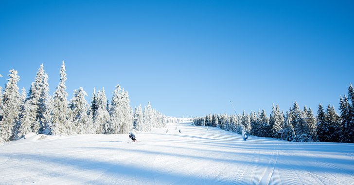 Fantastisk bra føre
Kaldt i lufta, nypreppet og m.