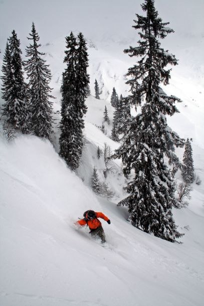 Foto: Någon av göbbarna på campingen. Åkare: Niklas Ruberg.