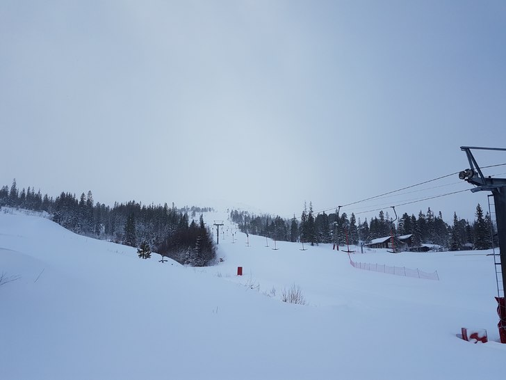 Det kommer snø
Det er kommet mye snø de siste d�.