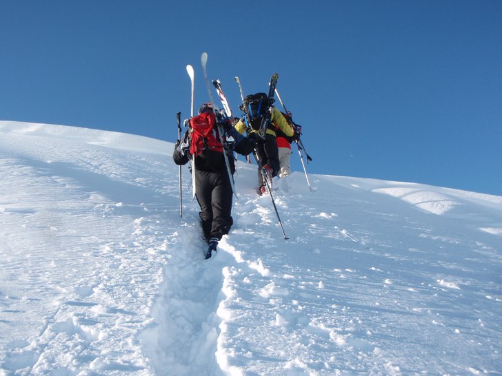 På väg till skogen som inte finns... ;-). Foto: Danne Sundström.