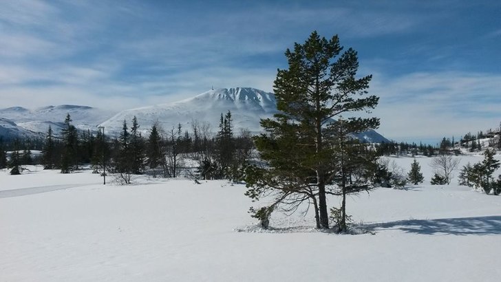 20 cm nysnø og sol!
.