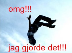 en flipp. Foto: tobias skoglund. Åkare: pontus dahlkvist.