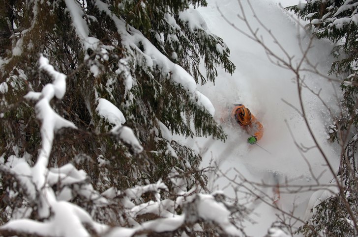 Herr Larsson åker hyfsat puder i Tottskogen på . Foto: Mattias Fredriksson. Åkare: Jon Larsson.