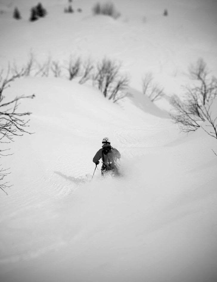 En av årets sista riktiga puderdagar. Foto: William Flodström. Åkare: Robert Lindberg.