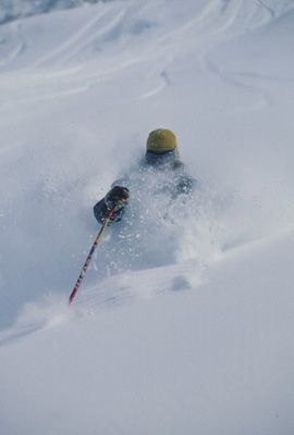 Foto: Johanna Carlsson. Åkare: Chris Faubert.