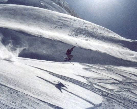 Foto: Elin Gustavsson. Åkare: Carl-Magnus Forslund.