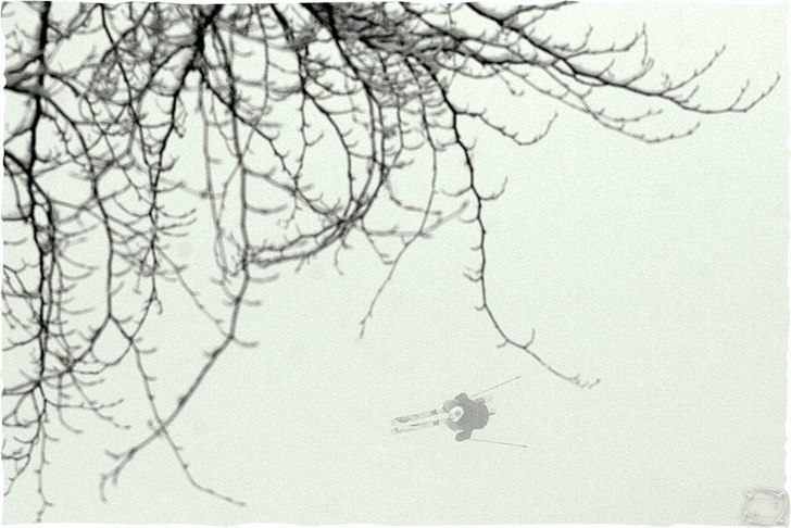 Foto: Tomek Gola. Åkare: Jasiek Krzysztof.