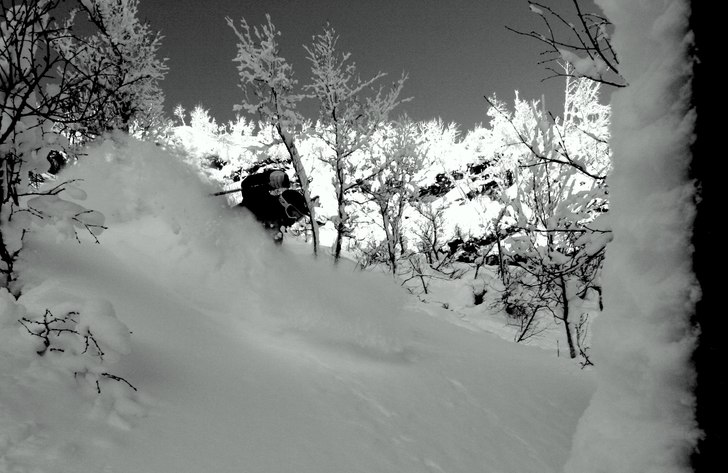 Skön skogsåkning i Ramis. Foto: Petteri Koste. Åkare: Henrik Mideroos.