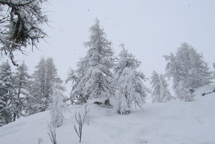 Foto: Pelle Edström. Åkare: Jakob Edholm.