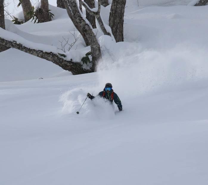 Puder i en bred skogsglänta med Per Powder Paradi.