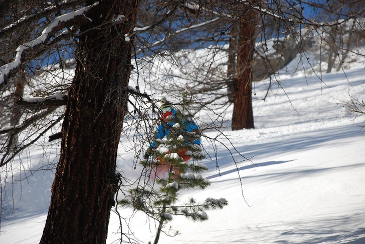 woodywoody. Foto: Martin Wikström. Åkare: Adam Jonsson.