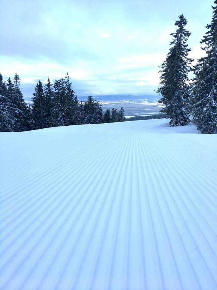 Nysnø og perfekt start på dagen!
.
