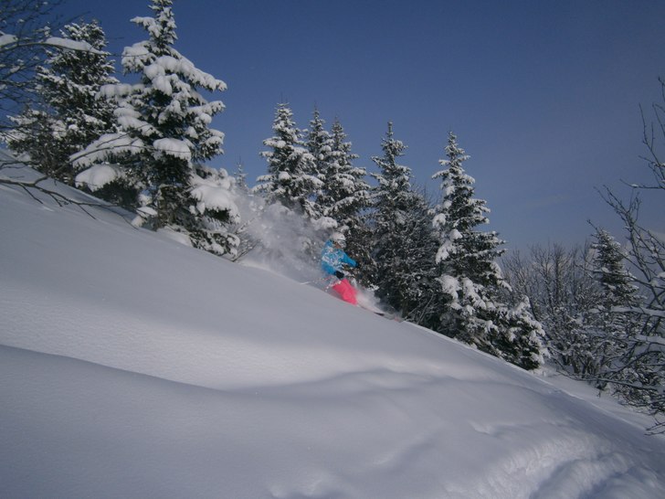 Skog.. Foto: Erik Håkman. Åkare: Ellen Håkman.