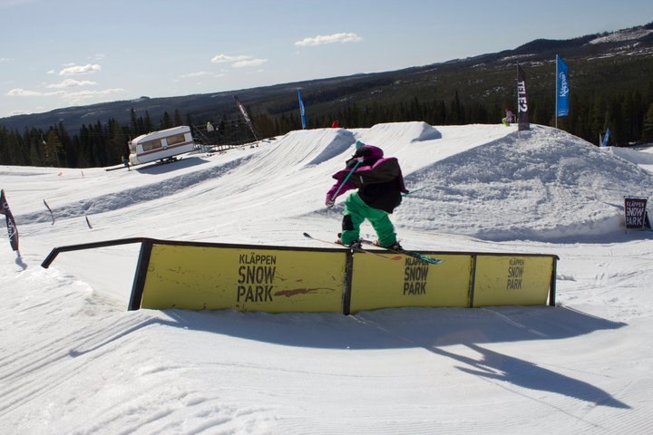 Foto: Tim Andersson. Åkare: Thomas Johansson.
