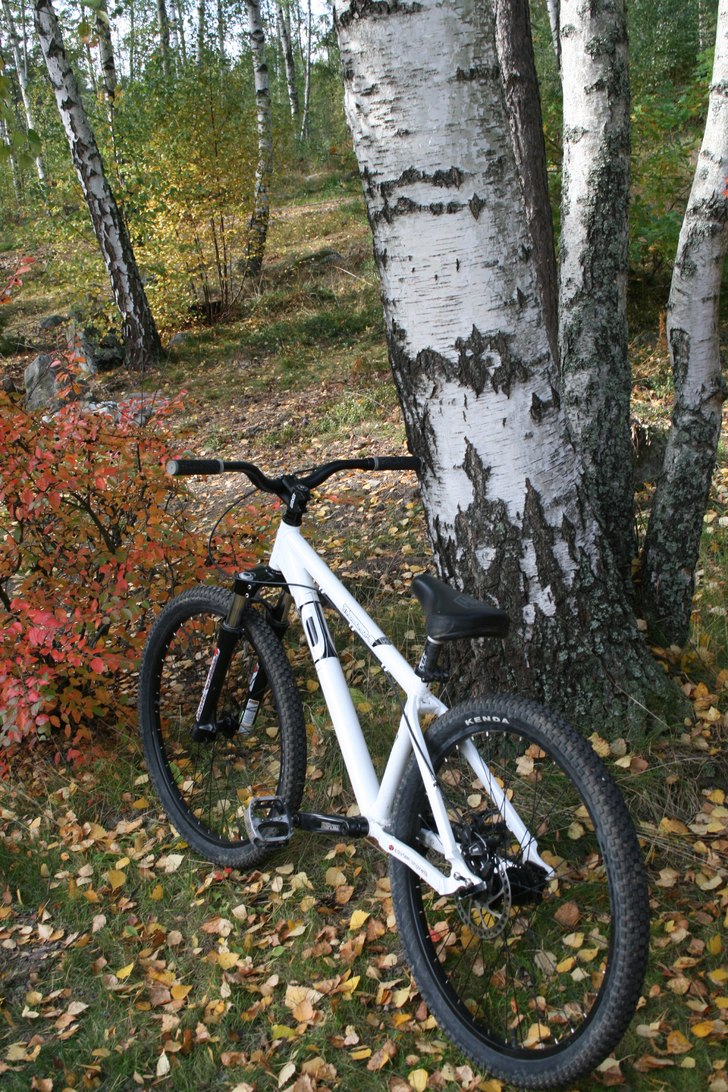 Min dirt cykel. Foto: Simon Wigholm.