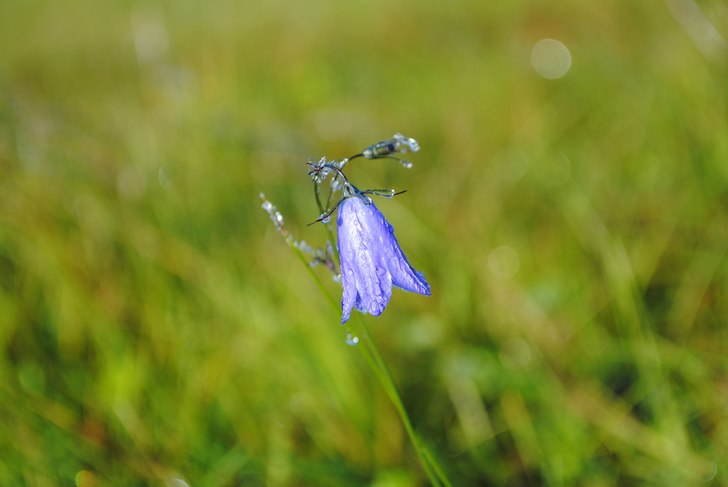 Foto: Linn Östlund.