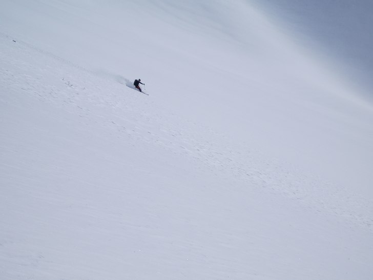 Foto: Cestmir Sliva. Åkare: Pavel Juhasz.