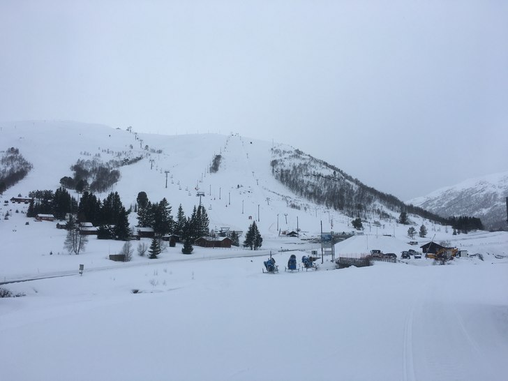 Mandag 20.mars
Mandag 20.mars

+1 grad og lett s.