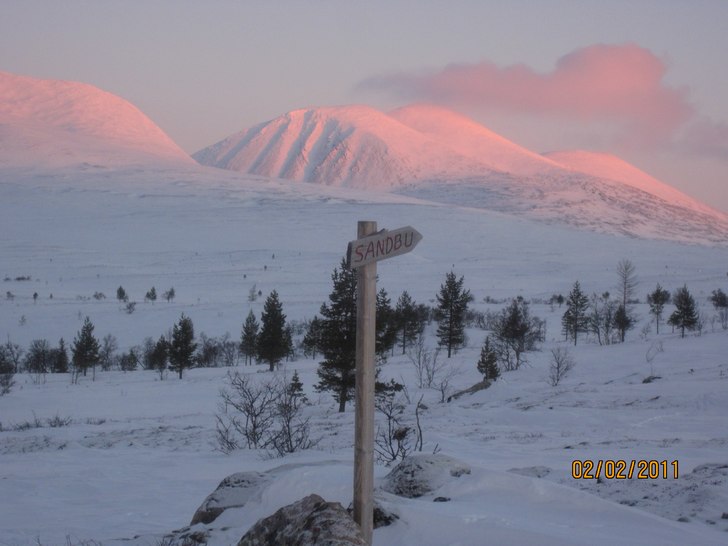 Foto: anders rennermalm. Åkare: rendalssölen i morgonljus.