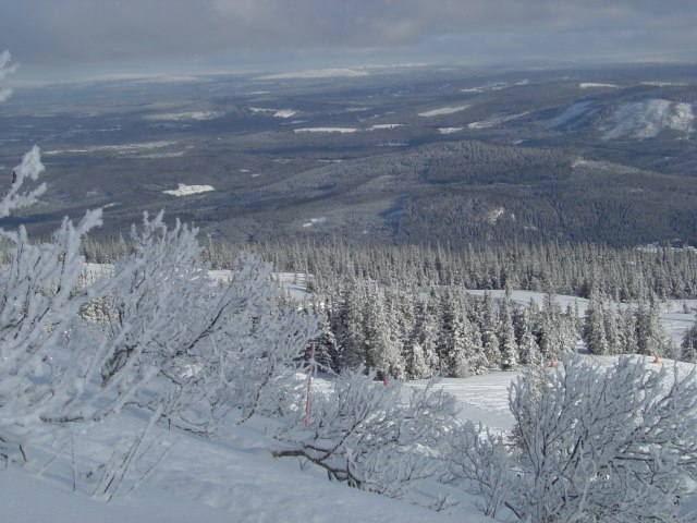 Nice!. Foto: Jag. Åkare: ....