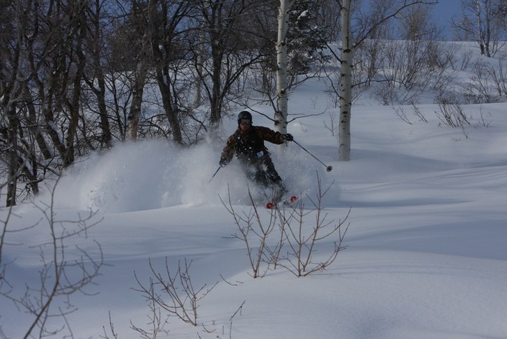 Foto: Molle Molin. Åkare: Niclas Schönfelder.
