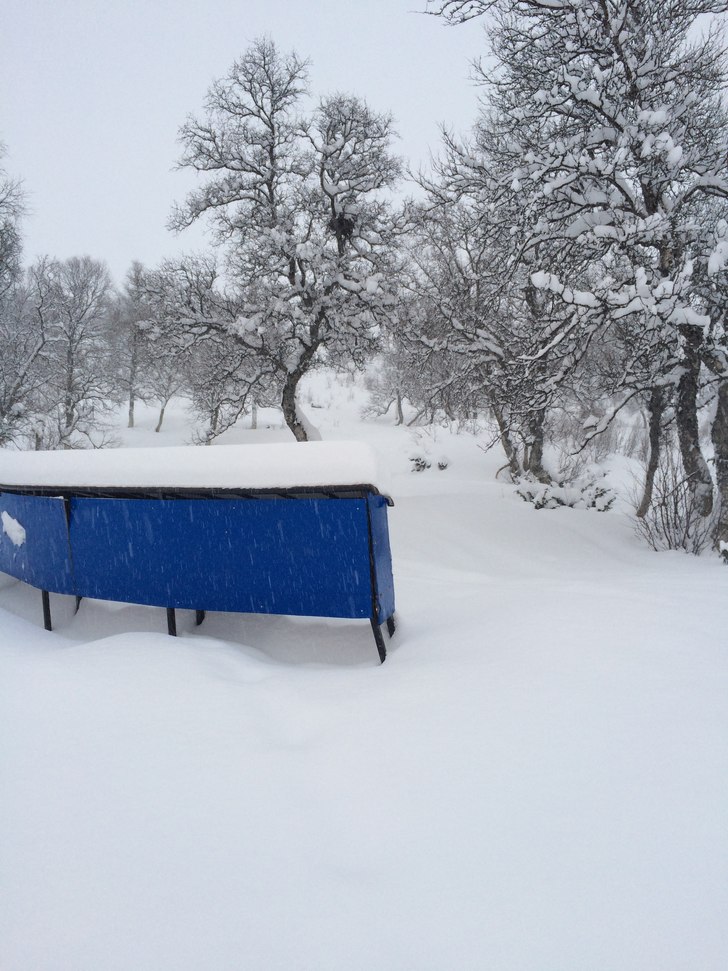 Pudder i lia!
20 cm med champagne pudder på Hauke.