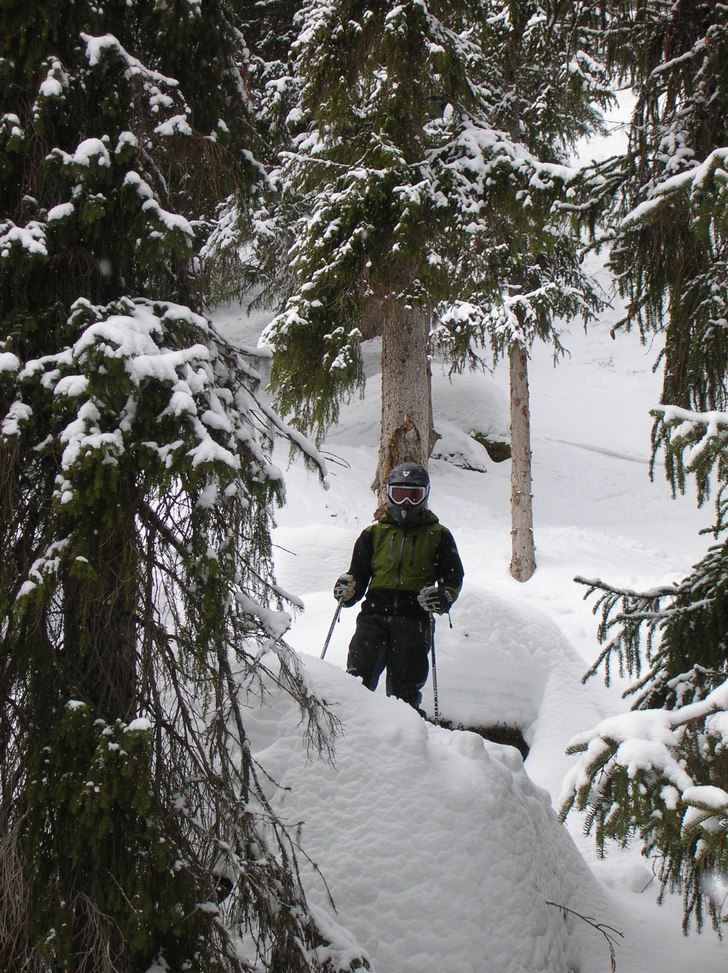 Ute och leker bland skutten bortanför rågångsr�. Foto: Hanna Olofsson. Åkare: Robert Jarlenäs.