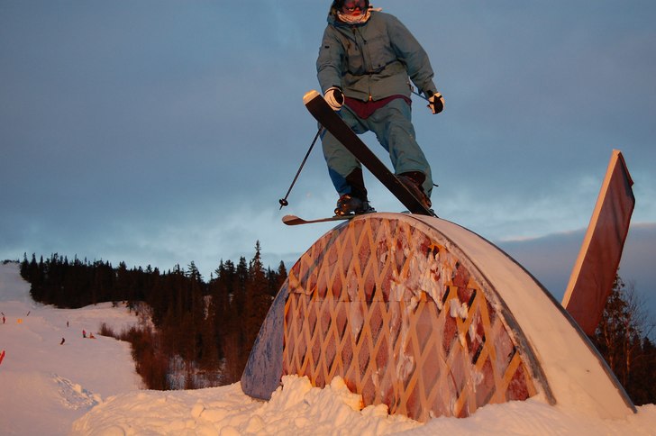 Rainbow. Foto: Nikjo. Åkare: Jens.