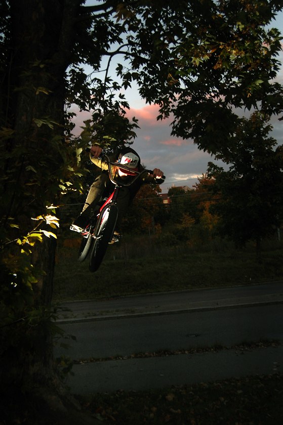 tuck, carvar ut från trädet, vänster i bild. Foto: Simon lindberg. Åkare: Morgan Larsson.